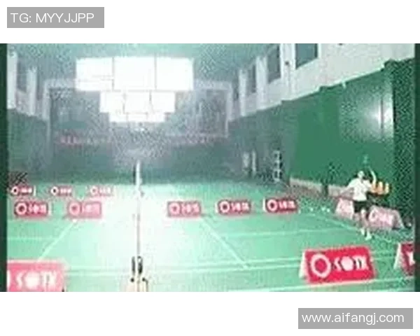 广州羽毛球队个人能力分析与提升策略探讨